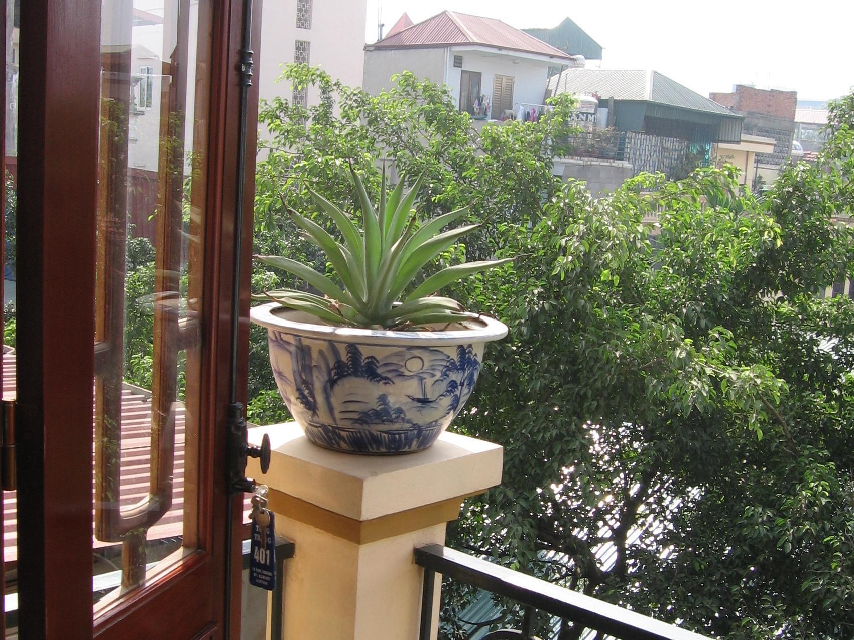 Tung Trang Hotel Hanoi Exterior photo